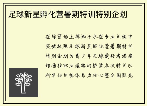 足球新星孵化营暑期特训特别企划